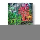 Maderas Tranquilas Ii - David Drost | Cuadro decorativo de Canvas Lab