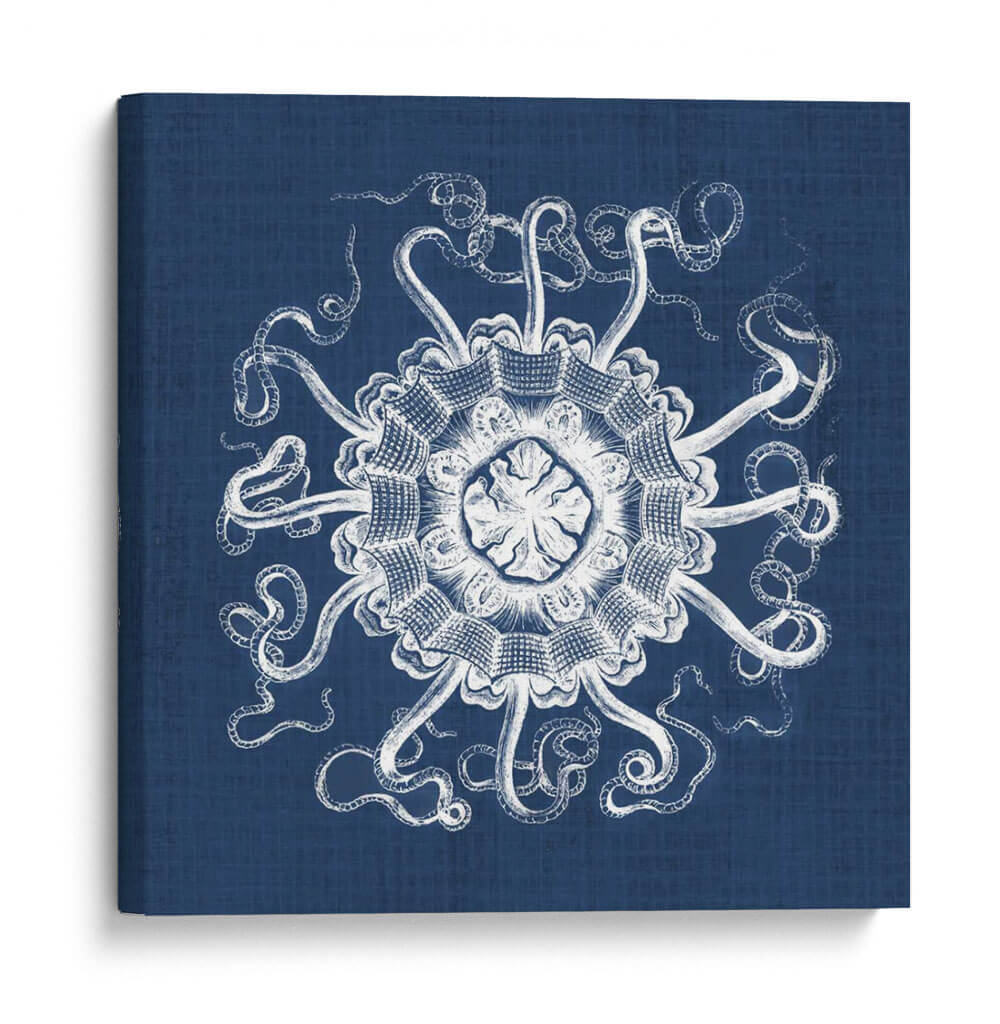 Anémona De Mar En Índigo I - Vision Studio | Cuadro decorativo de Canvas Lab