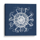 Anémona De Mar En Índigo I - Vision Studio | Cuadro decorativo de Canvas Lab