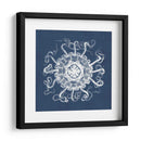 Anémona De Mar En Índigo I - Vision Studio | Cuadro decorativo de Canvas Lab