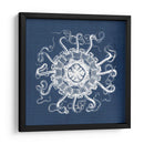 Anémona De Mar En Índigo I - Vision Studio | Cuadro decorativo de Canvas Lab