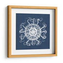 Anémona De Mar En Índigo I - Vision Studio | Cuadro decorativo de Canvas Lab