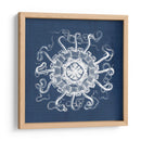 Anémona De Mar En Índigo I - Vision Studio | Cuadro decorativo de Canvas Lab