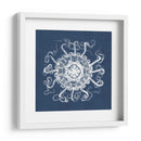 Anémona De Mar En Índigo I - Vision Studio | Cuadro decorativo de Canvas Lab