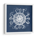 Anémona De Mar En Índigo I - Vision Studio | Cuadro decorativo de Canvas Lab