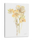 Albaricoque Dusk I - June Erica Vess | Cuadro decorativo de Canvas Lab