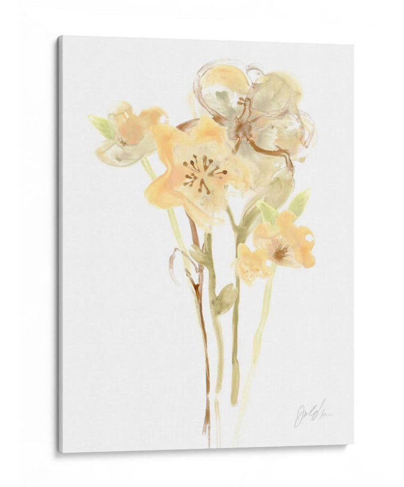 Albaricoque Dusk I - June Erica Vess | Cuadro decorativo de Canvas Lab