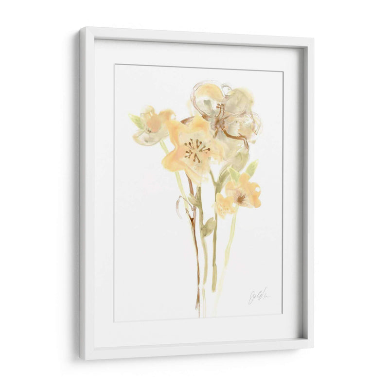 Albaricoque Dusk I - June Erica Vess | Cuadro decorativo de Canvas Lab