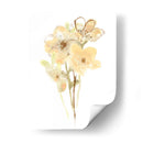 Albaricoque Dusk Ii - June Erica Vess | Cuadro decorativo de Canvas Lab