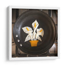 Alcatraz - Eggshibit | Cuadro decorativo de Canvas Lab