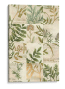 Grid De Jardín I - Johann Weinmann | Cuadro decorativo de Canvas Lab