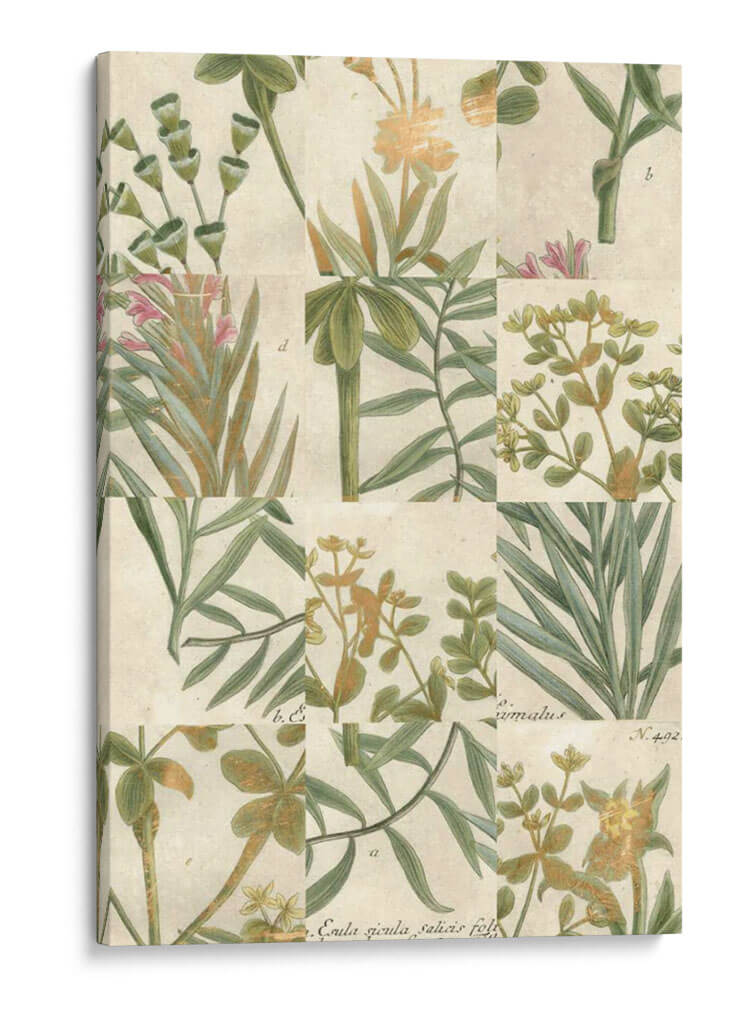 Grid De Jardín Ii - Johann Weinmann | Cuadro decorativo de Canvas Lab