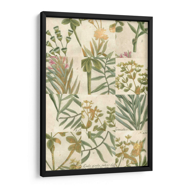 Grid De Jardín Ii - Johann Weinmann | Cuadro decorativo de Canvas Lab