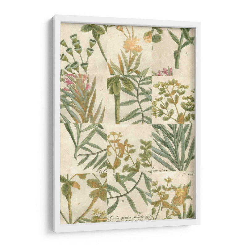Grid De Jardín Ii - Johann Weinmann | Cuadro decorativo de Canvas Lab
