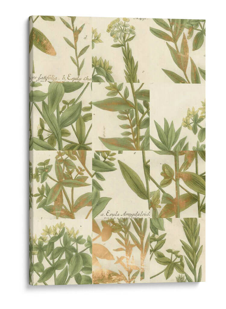 Grid De Jardín Iii - Johann Weinmann | Cuadro decorativo de Canvas Lab