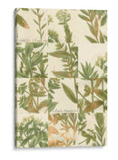 Grid De Jardín Iii - Johann Weinmann | Cuadro decorativo de Canvas Lab