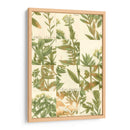 Grid De Jardín Iii - Johann Weinmann | Cuadro decorativo de Canvas Lab