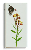 Tephroseris Flamea I - Melissa Wang | Cuadro decorativo de Canvas Lab