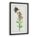 Tephroseris Flamea I - Melissa Wang | Cuadro decorativo de Canvas Lab