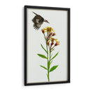 Tephroseris Flamea I - Melissa Wang | Cuadro decorativo de Canvas Lab