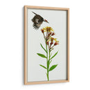 Tephroseris Flamea I - Melissa Wang | Cuadro decorativo de Canvas Lab