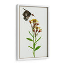 Tephroseris Flamea I - Melissa Wang | Cuadro decorativo de Canvas Lab