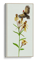 Tephroseris Flamea Ii - Melissa Wang | Cuadro decorativo de Canvas Lab