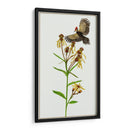 Tephroseris Flamea Ii - Melissa Wang | Cuadro decorativo de Canvas Lab