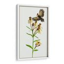 Tephroseris Flamea Ii - Melissa Wang | Cuadro decorativo de Canvas Lab