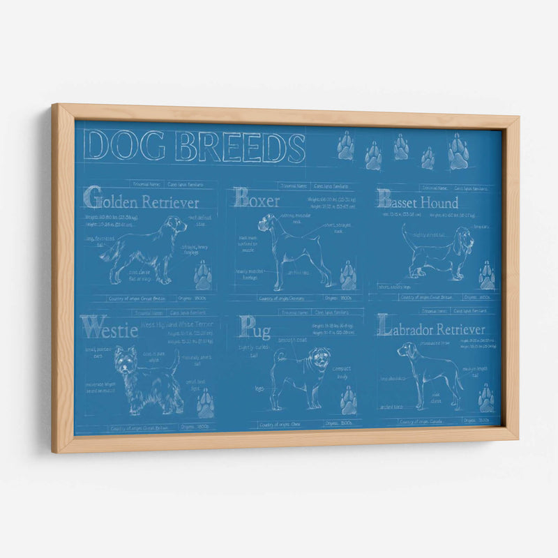 Infografía De Razas De Perros - Ethan Harper | Cuadro decorativo de Canvas Lab