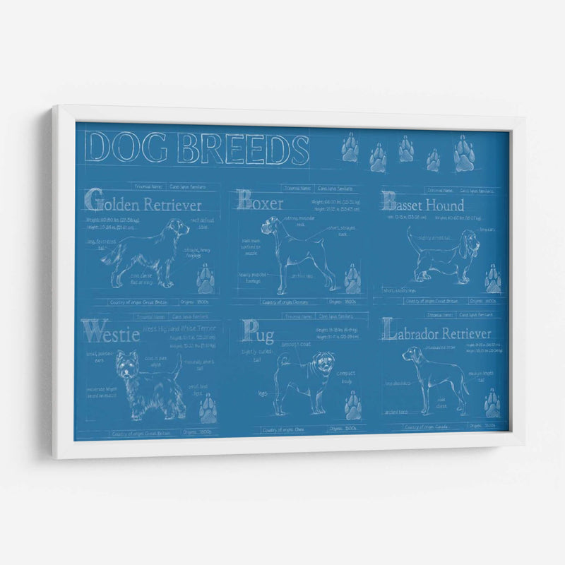 Infografía De Razas De Perros - Ethan Harper | Cuadro decorativo de Canvas Lab