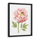 Peonía Acuarela I - Grace Popp | Cuadro decorativo de Canvas Lab