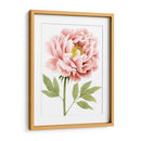 Peonía Acuarela I - Grace Popp | Cuadro decorativo de Canvas Lab