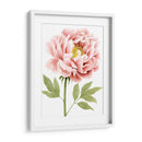 Peonía Acuarela I - Grace Popp | Cuadro decorativo de Canvas Lab