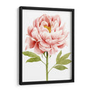 Acuarela Peony Ii - Grace Popp | Cuadro decorativo de Canvas Lab