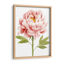 Acuarela Peony Ii - Grace Popp | Cuadro decorativo de Canvas Lab