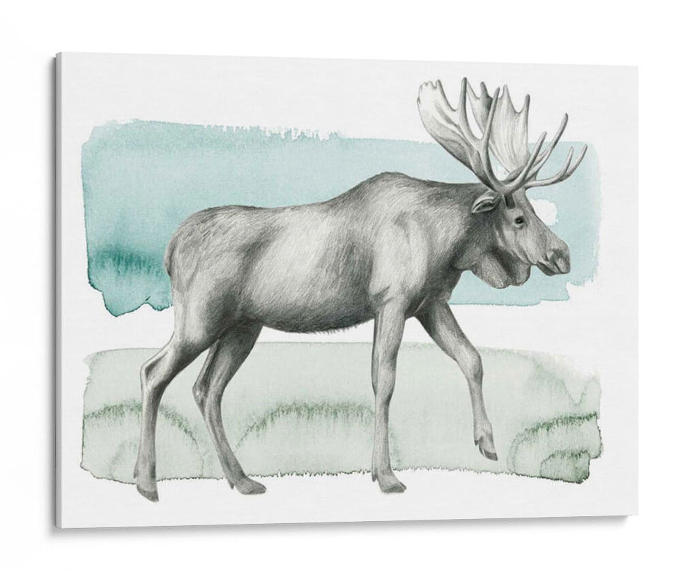 Animale Iii - Grace Popp | Cuadro decorativo de Canvas Lab