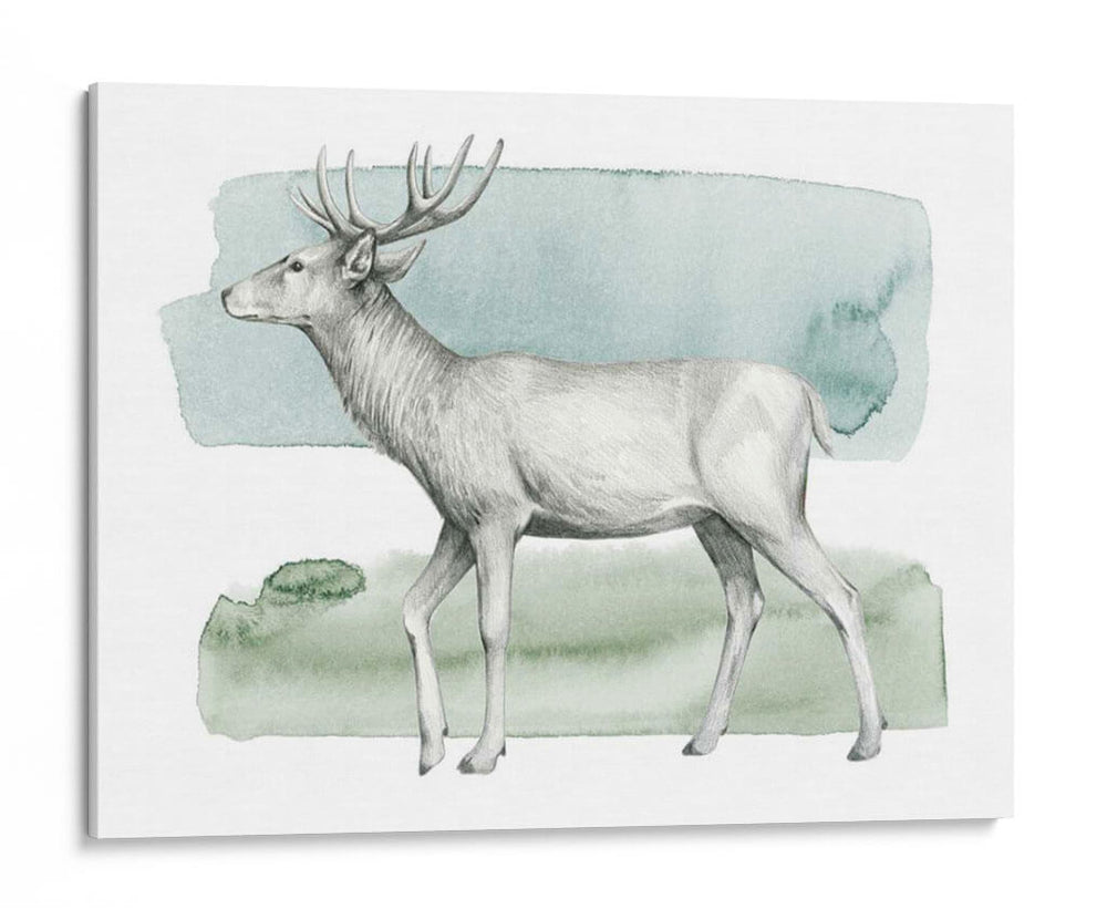 Animale Iv - Grace Popp | Cuadro decorativo de Canvas Lab