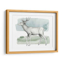 Animale Iv - Grace Popp | Cuadro decorativo de Canvas Lab