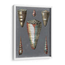 Shells De Medianoche Ii - Pierre Redoute | Cuadro decorativo de Canvas Lab