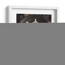 Charlotte - Eggshibit | Cuadro decorativo de Canvas Lab