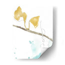 Ginkgo En Dusty Teal Ii - Jennifer Goldberger | Cuadro decorativo de Canvas Lab