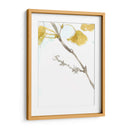 Ginkgo En Dusty Teal Vi - Jennifer Goldberger | Cuadro decorativo de Canvas Lab