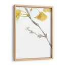 Ginkgo En Dusty Teal Vi - Jennifer Goldberger | Cuadro decorativo de Canvas Lab