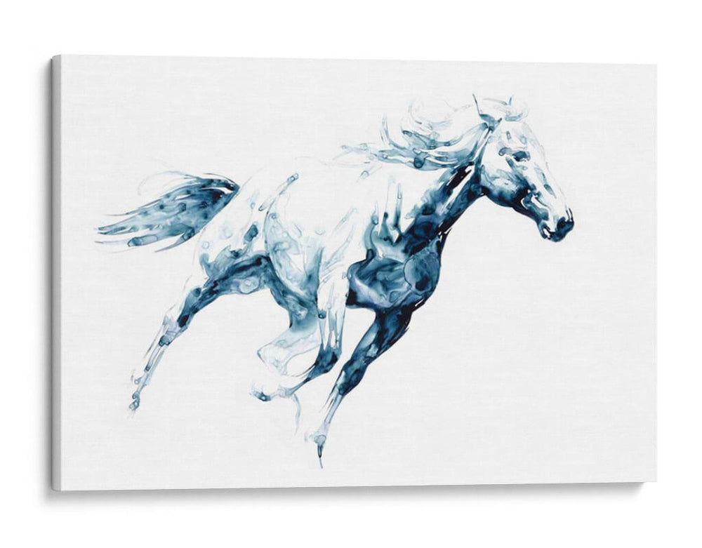 Zafiro Galop I - Julie T. Chapman | Cuadro decorativo de Canvas Lab