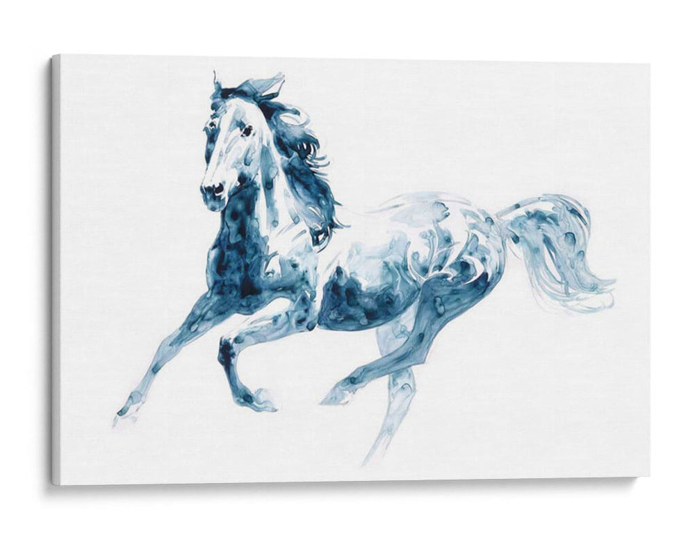 Zafiro Galop Ii - Julie T. Chapman | Cuadro decorativo de Canvas Lab