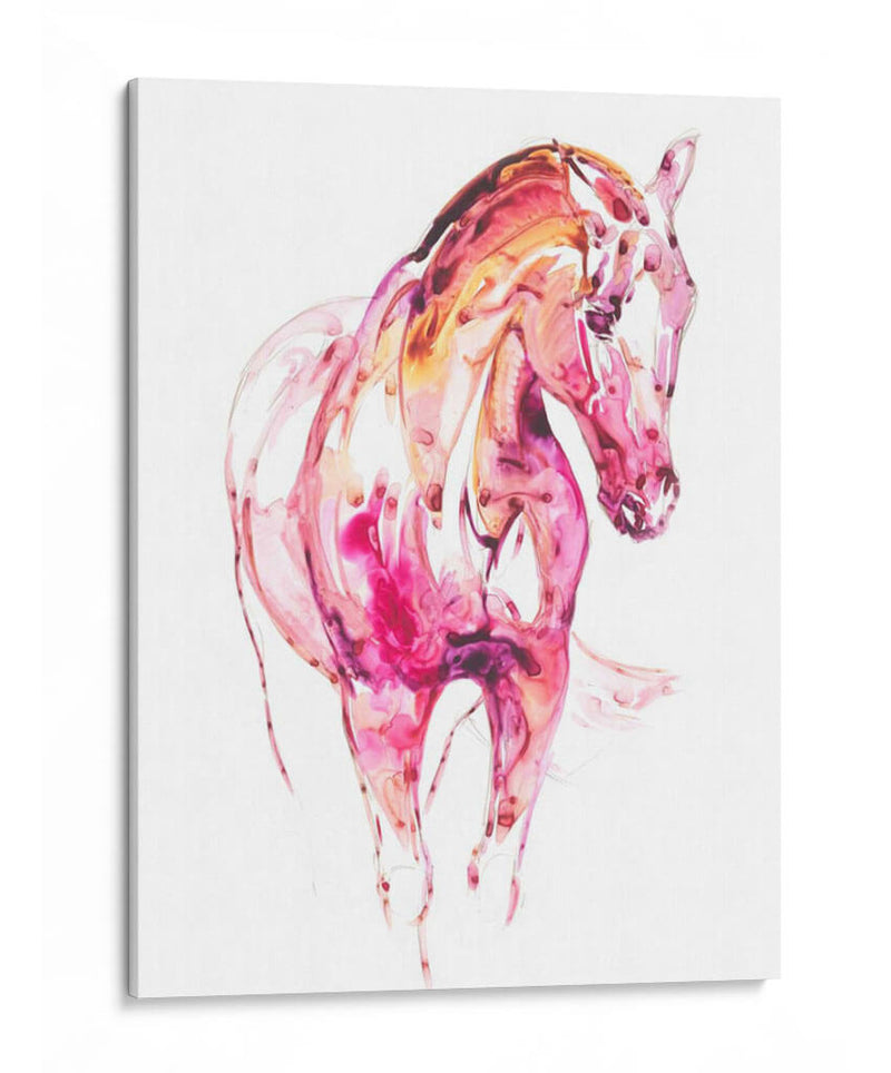 Granate Caballo Iii - Julie T. Chapman | Cuadro decorativo de Canvas Lab