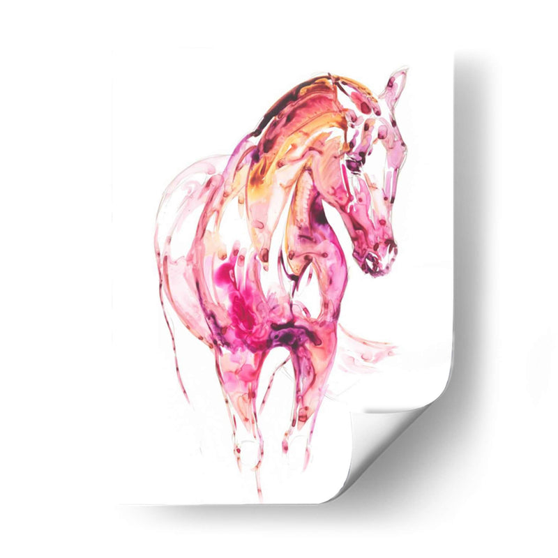 Granate Caballo Iii - Julie T. Chapman | Cuadro decorativo de Canvas Lab