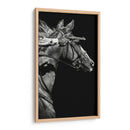 Vehículo De Escapada Ii - Julie T. Chapman | Cuadro decorativo de Canvas Lab