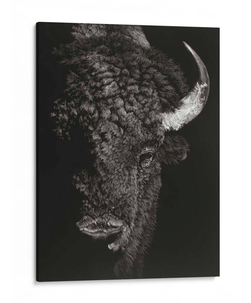 Glimpse Negro I - Julie T. Chapman | Cuadro decorativo de Canvas Lab